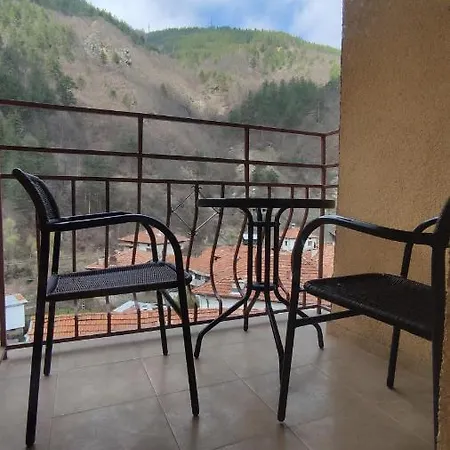 за гости вени-ев דבין