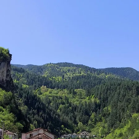 за гости вени-ев 3* Девин