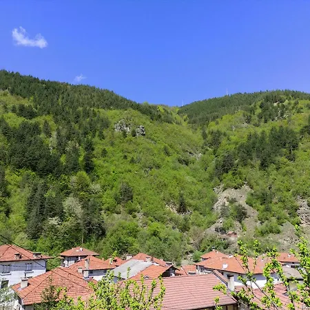 בית הארחה за гости вени-ев 3*