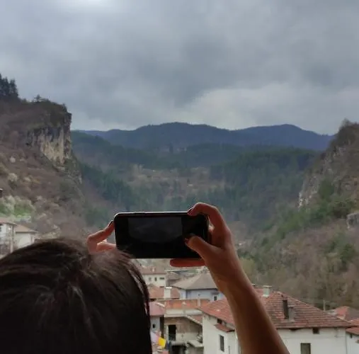 за гости вени-ев 3* Devin