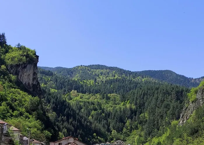 за гости вени-ев 3* Devin