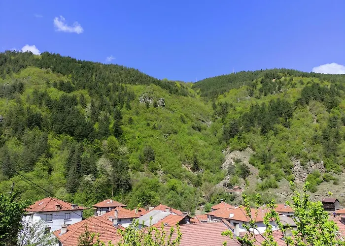 Gasthuis за гости вени-ев 3*